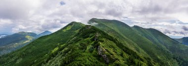Ukrayna Karpatları 'nın yaz panoraması, üst Marmaros sırtının yeşil yamaçları. Sırt çantalı bir grup turist tepe boyunca ilerliyor..