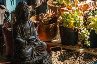 Sulu bitkileri olan Buda heykeli.