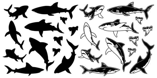 Ensemble de silhouettes vectorielles de requin monochromes. Poissons de mer, baignade animale, illustration de la faune. Pour emblèmes graphiques — Image vectorielle