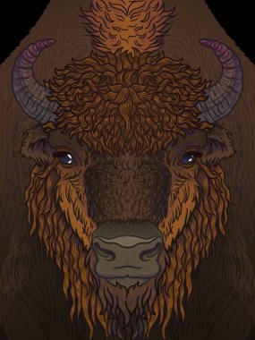 Avrupa kahverengi zubr bizon bizon hayvan. Vektör sanat çizim erkekler, çocuklar, giyim için