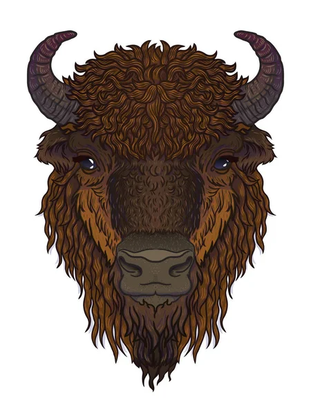 European brown zubr buffalo bison animal isolated on white background. Vector art illustration for men, boys, clothes — Stock Vector