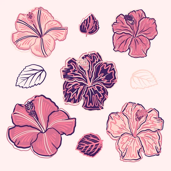 Conjunto de elementos de ilustração vetorial com flores rosa hibisco desenhadas à mão isoladas sobre fundo branco — Vetor de Stock