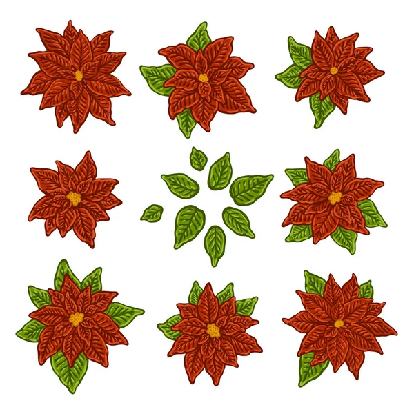 Icono de vector de flor de nochebuena de navidad festiva imágenes de stock  de arte vectorial | Depositphotos