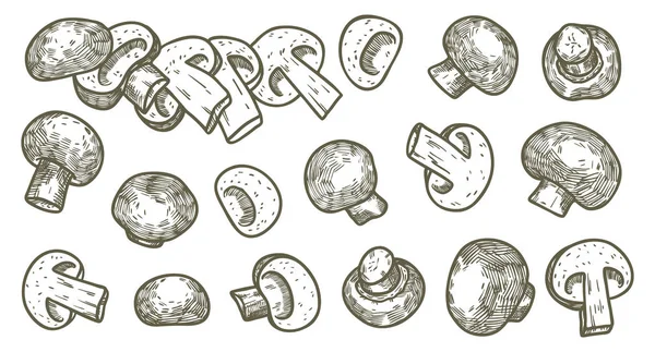 Handgezeichnete Illustration Skizze Stil Champignon Pilzkomposition Ikonen gesetzt. Vektorsymbole für Webdesign. Bauernhof frische Lebensmittel isoliert auf weißem Hintergrund. Gekritzelter Pilz — Stockvektor