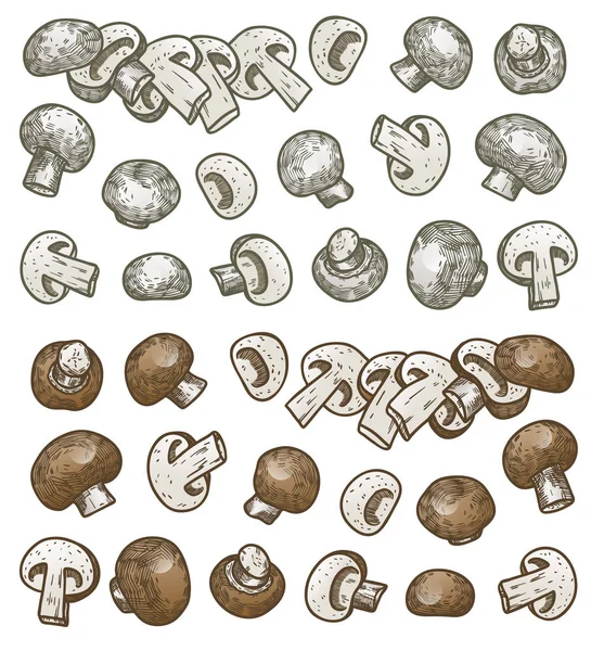 Illustration dessinée à la main style croquis champignon composition de champignons icônes ensemble. Icônes vectorielles pour la conception web. Aliments frais de la ferme isolés sur fond blanc. Champignon de style caniche — Image vectorielle