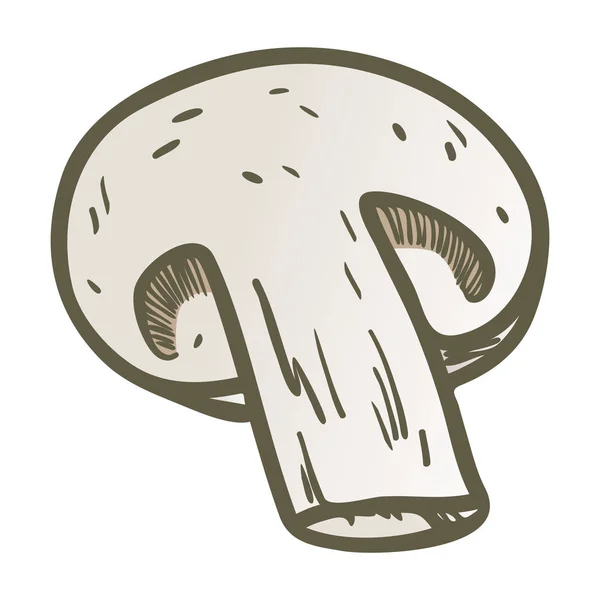 Handgezeichnete Illustration Skizze Stil Champignon Pilzkomposition Symbol. Vektorsymbole für Webdesign. Bauernhof frische Lebensmittel isoliert auf weißem Hintergrund. Gekritzelter Pilz — Stockvektor