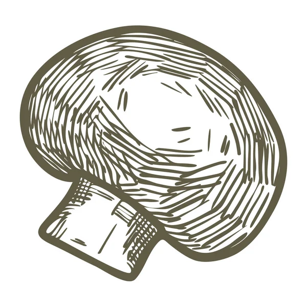 Elle çizilmiş illüstrasyon kroki tarzı champignon mantar kompozisyon simgesi. Web tasarımı için vektör simgeler. Çiftlik taze gıda beyaz arka plan üzerinde izole. Doodle stil mantar — Stok Vektör