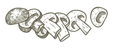 Elle çizilmiş illüstrasyon kroki tarzı champignon mantar kompozisyon simgesi. Web tasarımı için vektör simgeler. Çiftlik taze gıda beyaz arka plan üzerinde izole. Doodle stil mantar