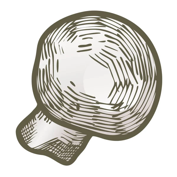 Elle çizilmiş illüstrasyon kroki tarzı champignon mantar kompozisyon simgesi. Web tasarımı için vektör simgeler. Çiftlik taze gıda beyaz arka plan üzerinde izole. Doodle stil mantar — Stok Vektör