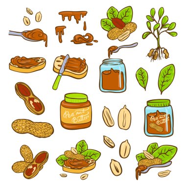 Fıstık ezmesi doodle vektör Icon set. Web tasarımı için fıstık simgeler kümesi illüstrasyon karikatür. Fındık üzerinde beyaz backgraund çizilmiş amblem ve etiketleri isoleted el