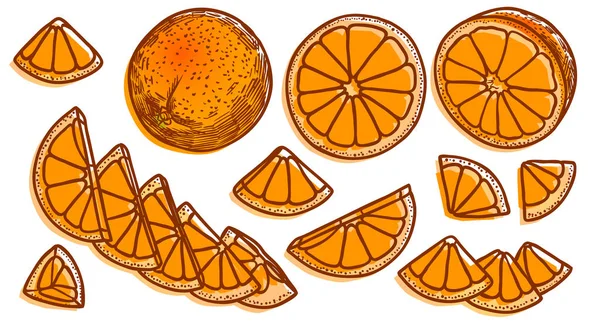 Oranžový ovocný řezy ruční kreslené barevné ilustrace sada — Stock fotografie