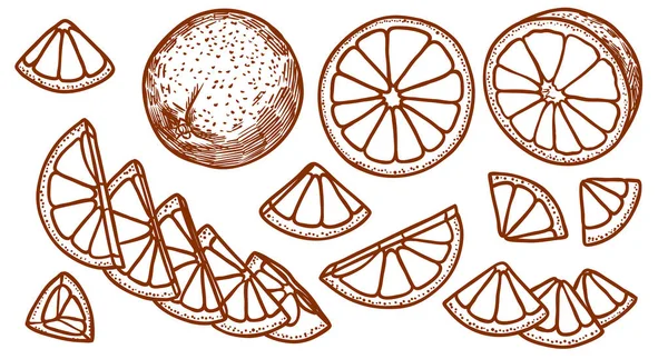 Lime fruta rebanada mano dibujado marrón esquema ilustración conjunto —  Fotos de Stock
