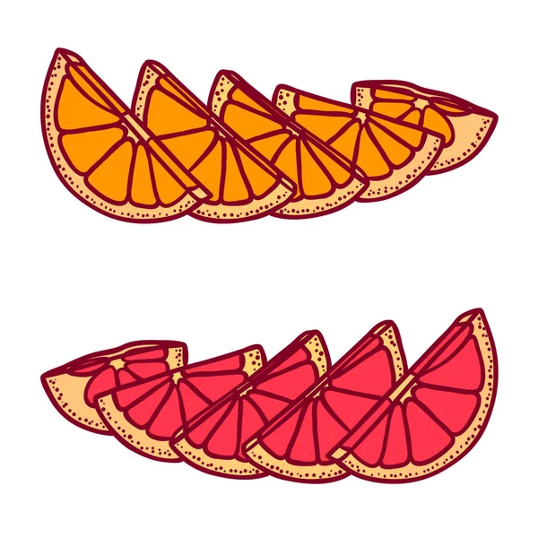 Apelsin och grapefrukt frukter skivor färgillustrationer set — Stock vektor