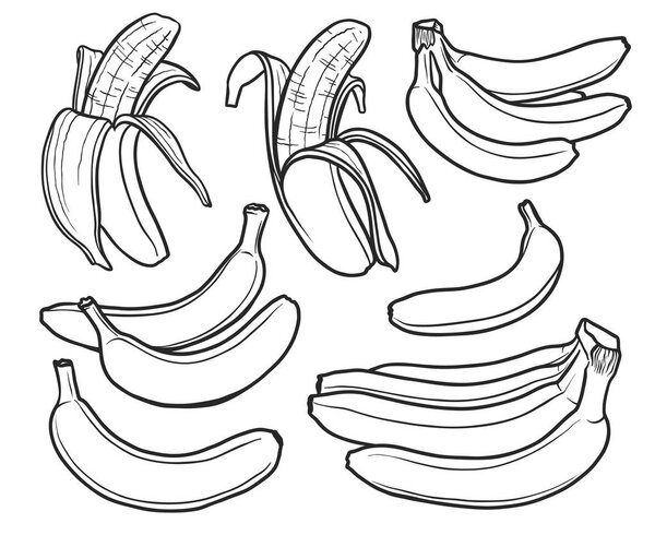 Banana hand drawn black outline isolated illustrations set
