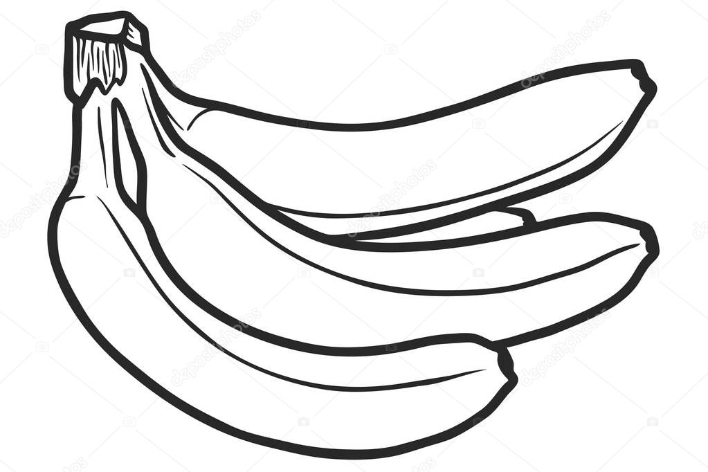 Bananas black and color gradient outline illustrations set