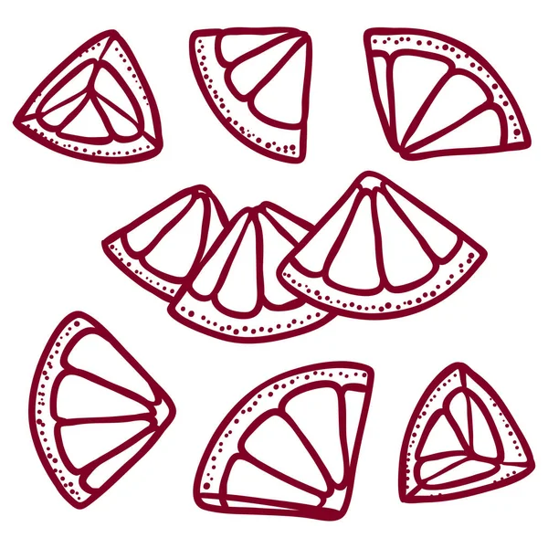 Tranche de fruits à la chaux dessinée à la main illustration marron ensemble — Image vectorielle