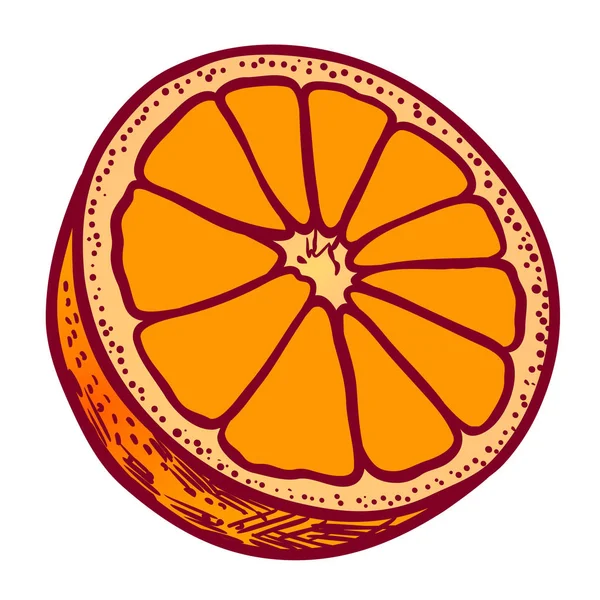 Turuncu meyve el çizilmiş çizim beyaz arka planda izole