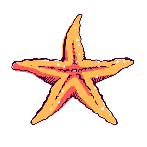Underwater star fish color hand drawn illustration — Stock Vector