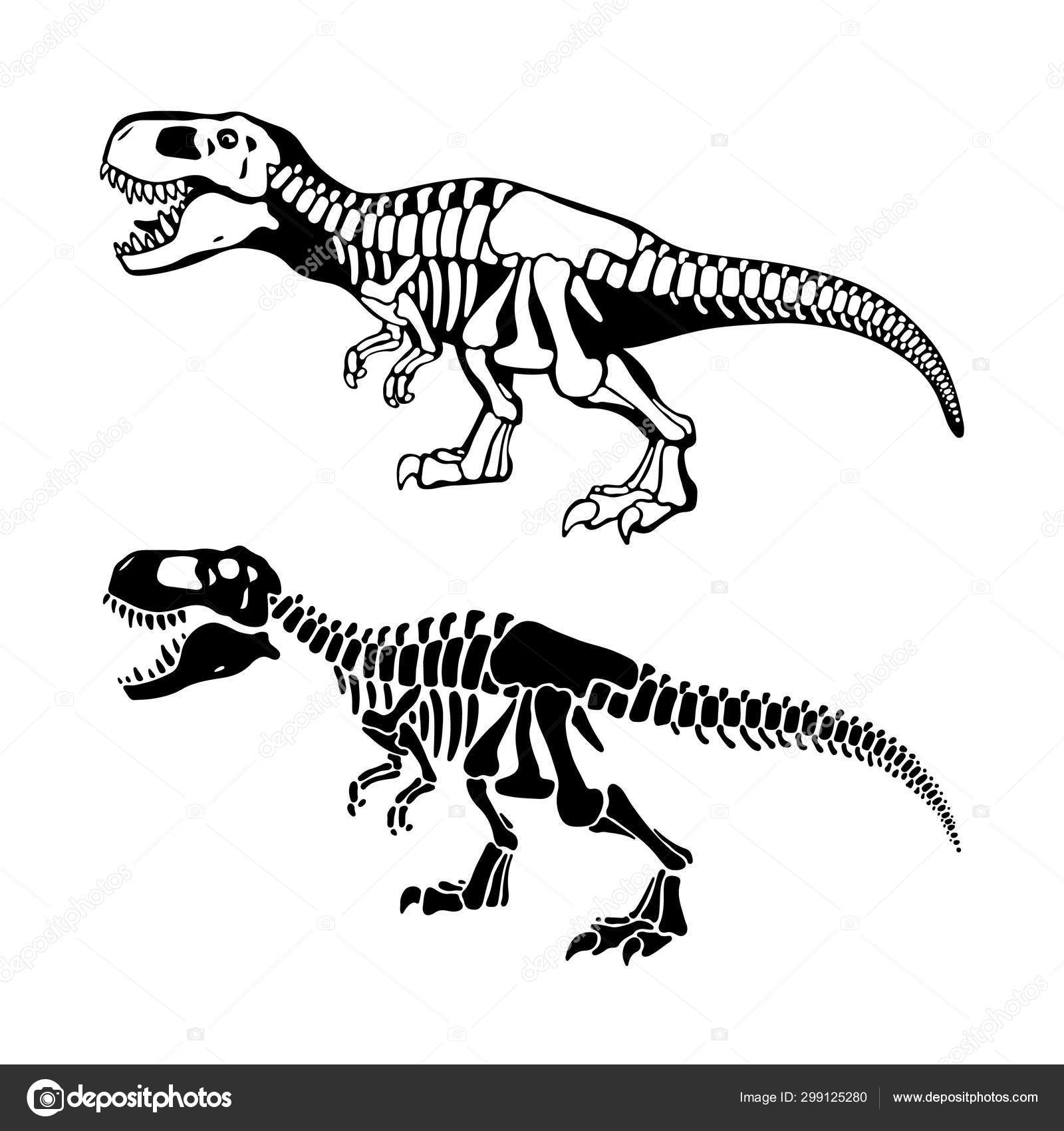 Tyrannosaurus rex Dinosaur Sketch Vector for Free Download