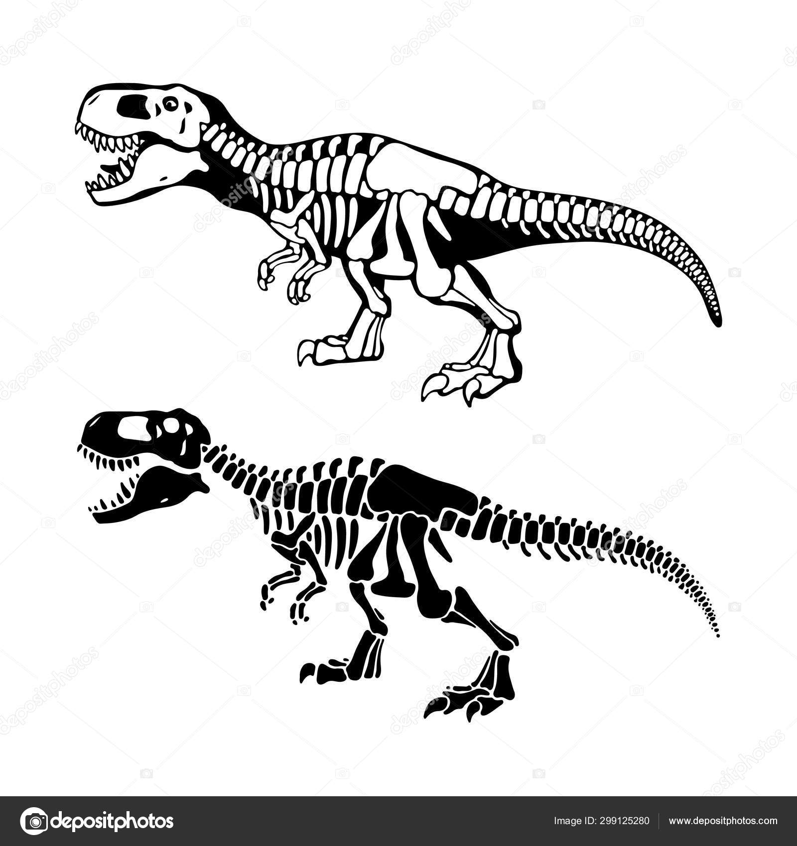 T rex esqueleto de dinossauro silhueta espacial negativa ilustração  vetor(es) de stock de ©jkazanceva 299125308