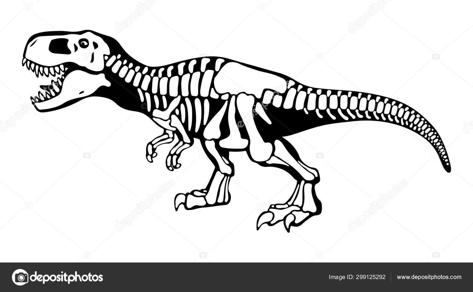 Tyrannosaurus rex esboço e silhueta ilustrações conjunto imagem