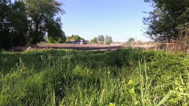 Paesaggio rurale. campo capanna frangia usignolo cazzo . — Video Stock