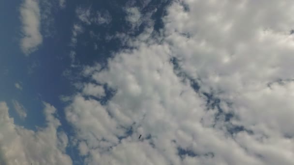 Beyaz bulutlar mavi gökyüzü karşı hareketi. — Stok video
