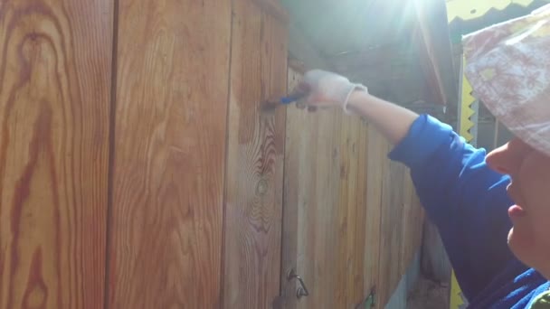 Woman Paints Tassel Wooden Fence — Stock Video