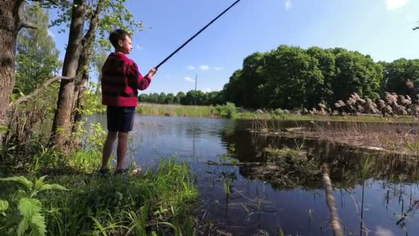 Teenager Catches Fishing Rod Pond — Stock Video