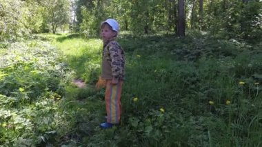 Çocuk bir net kelebekler çayırda yakalar..