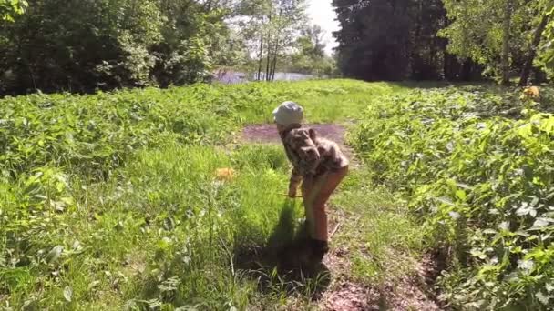 Boy Catches Butterflies Net Meadow — Stock Video