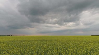 alan Yeşil Sarı thunderclouds arka planı.