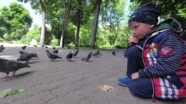 çocuk Park Şehir güvercinleri kaldırımda beslenir..