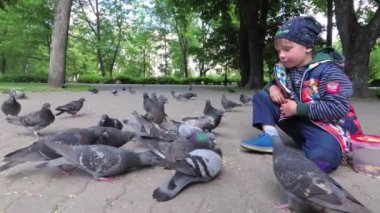 çocuk Park Şehir güvercinleri kaldırımda beslenir..