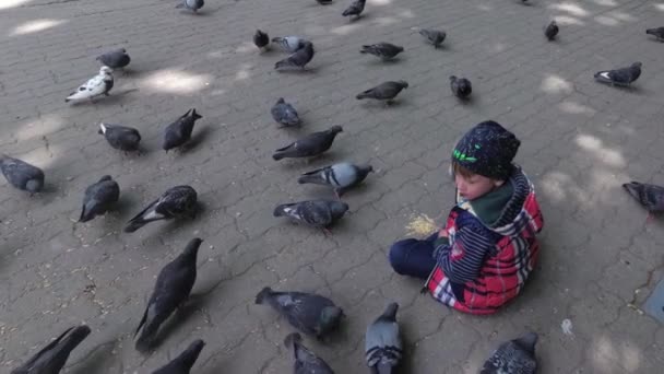 Jongen Voedt Stad Duiven Het Park Stoep — Stockvideo