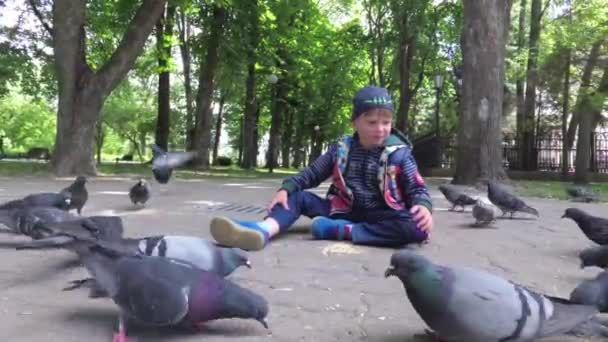 Αγόρι Πόλη Περιστέρια Στο Πάρκο Τροφοδοτεί Στο Πεζοδρόμιο — Αρχείο Βίντεο