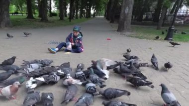 çocuk Park Şehir güvercinleri kaldırımda beslenir..