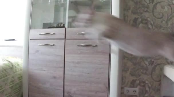 Cat jumps a long jump on the hunt. — Stock Video