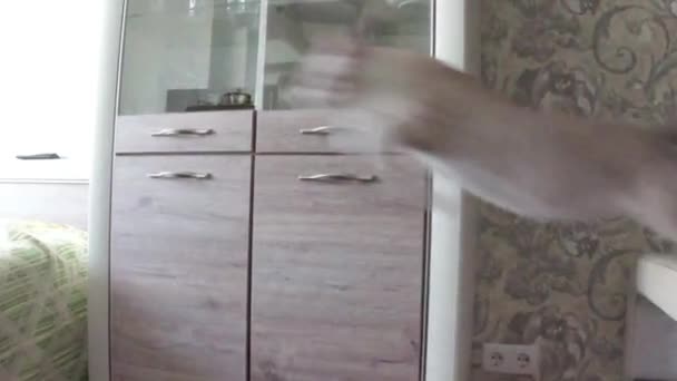 Katten hoppar en längdhopp på jakt. — Stockvideo