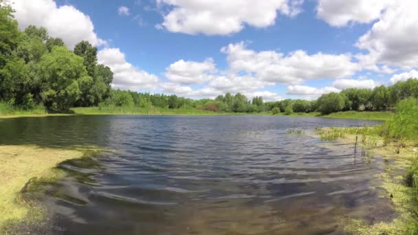 un lac forestier sous un ciel bleu avec des nuages .