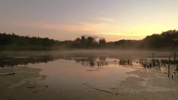 GOMEL, BELARUS. la niebla se extiende sobre el agua al amanecer . — Vídeos de Stock