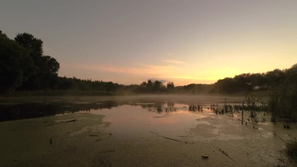 GOMEL, BELARUS. la niebla se extiende sobre el agua al amanecer . — Vídeo de stock