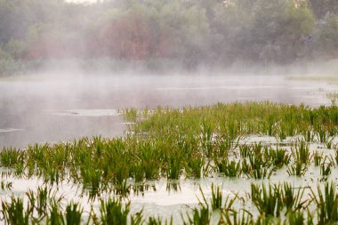 Gomel, Belarus. sis su üzerinde şafakta yayılır.