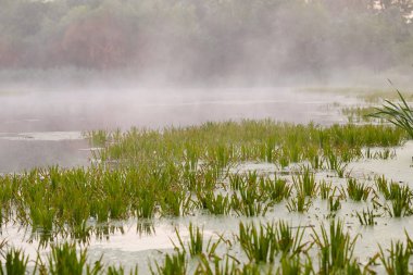 Gomel, Belarus. sis su üzerinde şafakta yayılır.