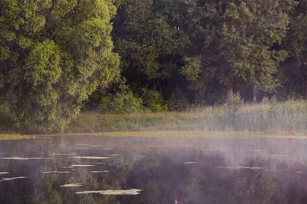 Gomel Belarus Niebla Extiende Sobre Agua Amanecer — Foto de Stock