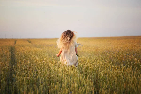 Dziewczyna Kwiatami Spacerując Polu Zboża — Zdjęcie stockowe