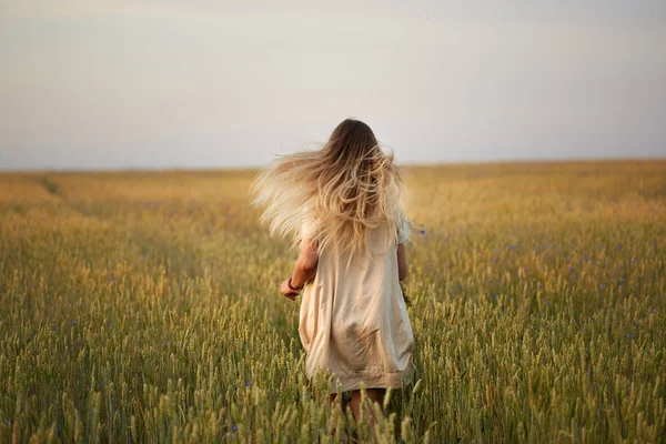 Çiçekli kız tahıl tarlasında yürüyor