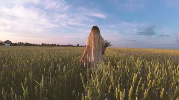 Chica Con Flores Caminando Campo Grano — Vídeos de Stock