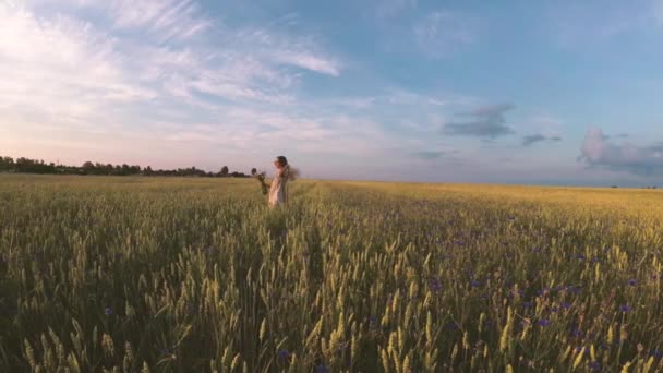 Flicka Med Blommor Går Ett Sädesfält — Stockvideo