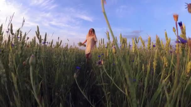 Menina Com Flores Andando Campo Grãos — Vídeo de Stock